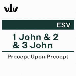 PUP Workbook (ESV) - 1 John and 2 & 3 John