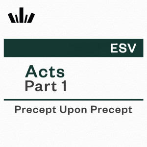 PUP Workbook (ESV) - Acts Part 1