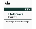 PUP Workbook (ESV) - Hebrews Part 1