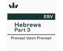 PUP Workbook (ESV) - Hebrews Part 3