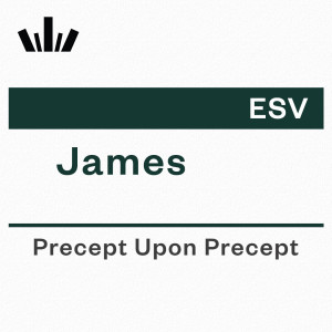 PUP Workbook (ESV) - James Revised