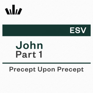 PUP Workbook (ESV) - John Part 1