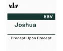 PUP Workbook (ESV) - Joshua