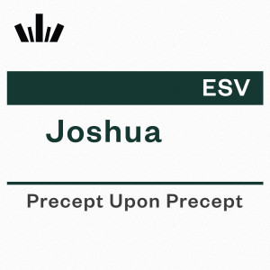 PUP Workbook (ESV) - Joshua