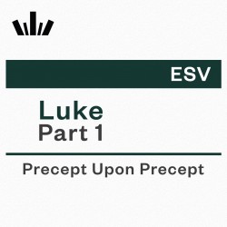 PUP Workbook (ESV) - Luke Part 1