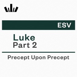 PUP Workbook (ESV) - Luke Part 2