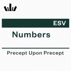 PUP Workbook (ESV) - Numbers