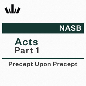 PUP Workbook (NASB) - Acts Part 1