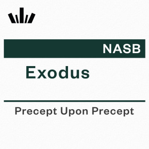 PUP Workbook (NASB) - Exodus