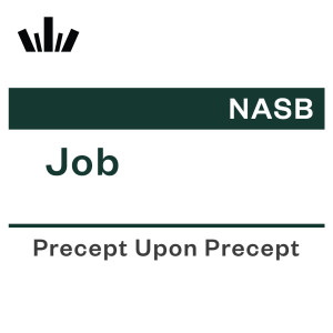 PUP Workbook (NASB) - Job