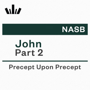 PUP Workbook (NASB) - John Part 2