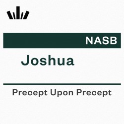 PUP Workbook (NASB) - Joshua