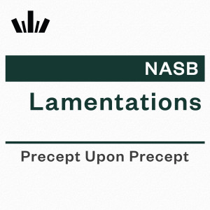 PUP Workbook (NASB) - Lamentations