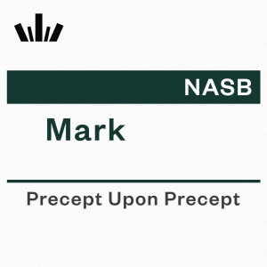 PUP Workbook (NASB) - Mark