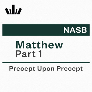 PUP Workbook (NASB) - Matthew Part 1