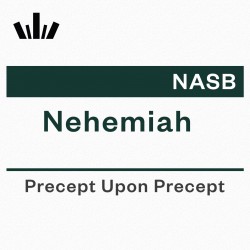 PUP Workbook (NASB) - Nehemiah