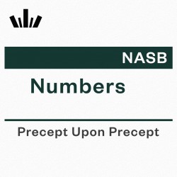 PUP Workbook (NASB) - Numbers