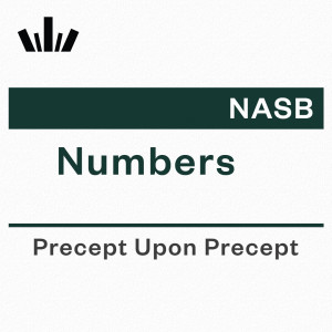 PUP Workbook (NASB) - Numbers