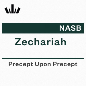 PUP Workbook (NASB) - Zechariah